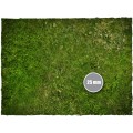 Terrain Mat PVC - Grass - 90x90 2