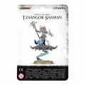 Age of Sigmar : Chaos - Tzeentch Arcanites Tzaangor Shaman 0