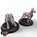Wild West Exodus - Confederate Rebellion Posse 8