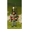 British Infantry 1800-13: Line Infantry in Stovepipe Shako, at attention 0