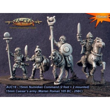 Numidian command (2 foot + 2 mounted)