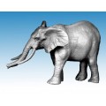 African Elephant 0