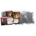 Arkham Horror : The Card Game - The Forgotten Age Expansion 7