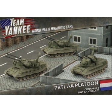 Team Yankee - Dutch PRTL AA Platoon
