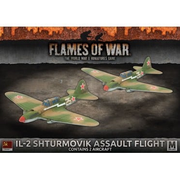 Il-2 Shturmovik Assault Flight