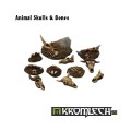 Animal Skulls & Bones 0