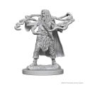 Dungeons & Dragons Nolzur’s Marvelous Miniatures - Human Male Sorcerer 2