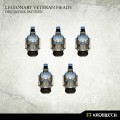 Legionary Veteran Heads: Destroyer Pattern 1