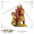 SPQR: Macedonia - War Elephant 1