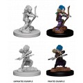 Pathfinder Deep Cuts - Gnome Female Rogue 0