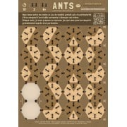 Ants - Pdf