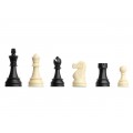 DGT Chess Starter Box 2