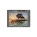 Puzzle - Red Mangrove - 1000 Pièces 0