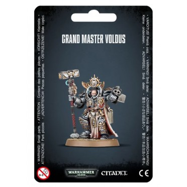 W40K : Adeptus Astartes Grey Knight - Great Master Voldus