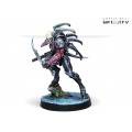 Infinity - Combined Army - Shasvastii Action Pack 5