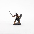 D&D Icons of the Realms Premium Figures - Dragonborn Female Paladin 3