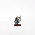D&D Icons of the Realms Premium Figures - Elf Male Cleric 2
