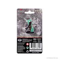 D&D Icons of the Realms Premium Figures - Tiefling Female Sorcerer 1
