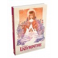 Labyrinthe - Le Jeu d'Aventure 0