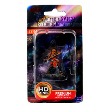 D&D Icons of the Realms Premium Figures - Male Dragonborn Fighter