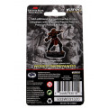 D&D Icons of the Realms Premium Figures - Male Dragonborn Fighter 1