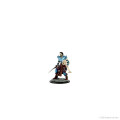 D&D Icons of the Realms Premium Figures - Human Warlock Male 2