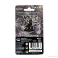 D&D Icons of the Realms Premium Figures - Half-Orc Fighter Female 1