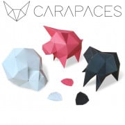 Carapaces By Doug : Blanc