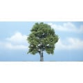 Woodland Scenics - Oak 12,5 cm 0