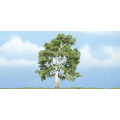 Woodland Scenics - Sycamore : 10 cm 0