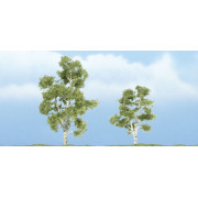 Woodland Scenics - Sycamore : 6 cm/7,5 cm