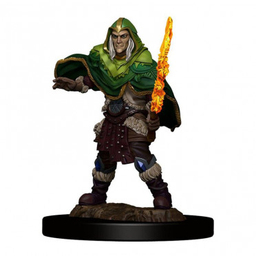 D&D Icons Elf Fighter Male