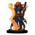 D&D Icons of the Realms Dragonborn Sorcerer Female 0