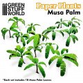 Plantes en Papier - Arbre Musa 0