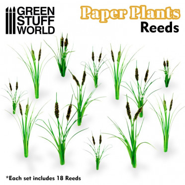 Plantes en Papier - Roseaux