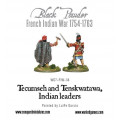 Tecumseh and Tenskwatawa, Indian Leaders 1