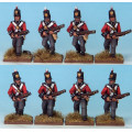 Mousquets & Tomahawks : Infanterie Régulière Britannique Guerre de 1812 0