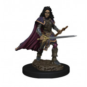 Pathfinder Battles Premium Painted Figure - Human Bard Female