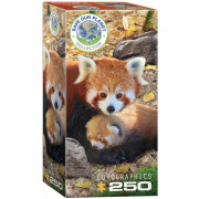 Puzzle - Pandas Rouges - 250 Pièces