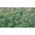 Woodland Scenics - Herbe Statique en Shaker - Medium Green 0