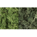 Woodland Scenics - Lichen Mix 1