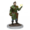 D&D Icons of the Realms Premium Figures - Male Half-Elf Bard 0