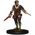 D&D Icons of the Realms Premium Figures - Human Rogue Male 0