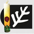 Ritual Candle Dice Tube - The Elder Sign 0