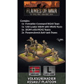 Flames of War - Volksgrenadier Assault Platoon 0