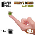 Green Stuff World - Thorny Scrubs 4