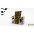 Gamers Grass - Grandes Touffes d'Herbes Pointues - 12mm 5