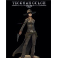 Tecumah Gulch - Accessoires du Meneur - Version PDF 1