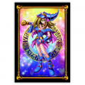 YU-GI-OH! Dark Magician Girl Sleeves 0