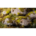 Gamers Grass - Très Petites Touffes d'Herbes Sauvages - 2mm 9